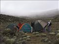 Practica de Ecologia Avanzada Cuenca Turmero 5